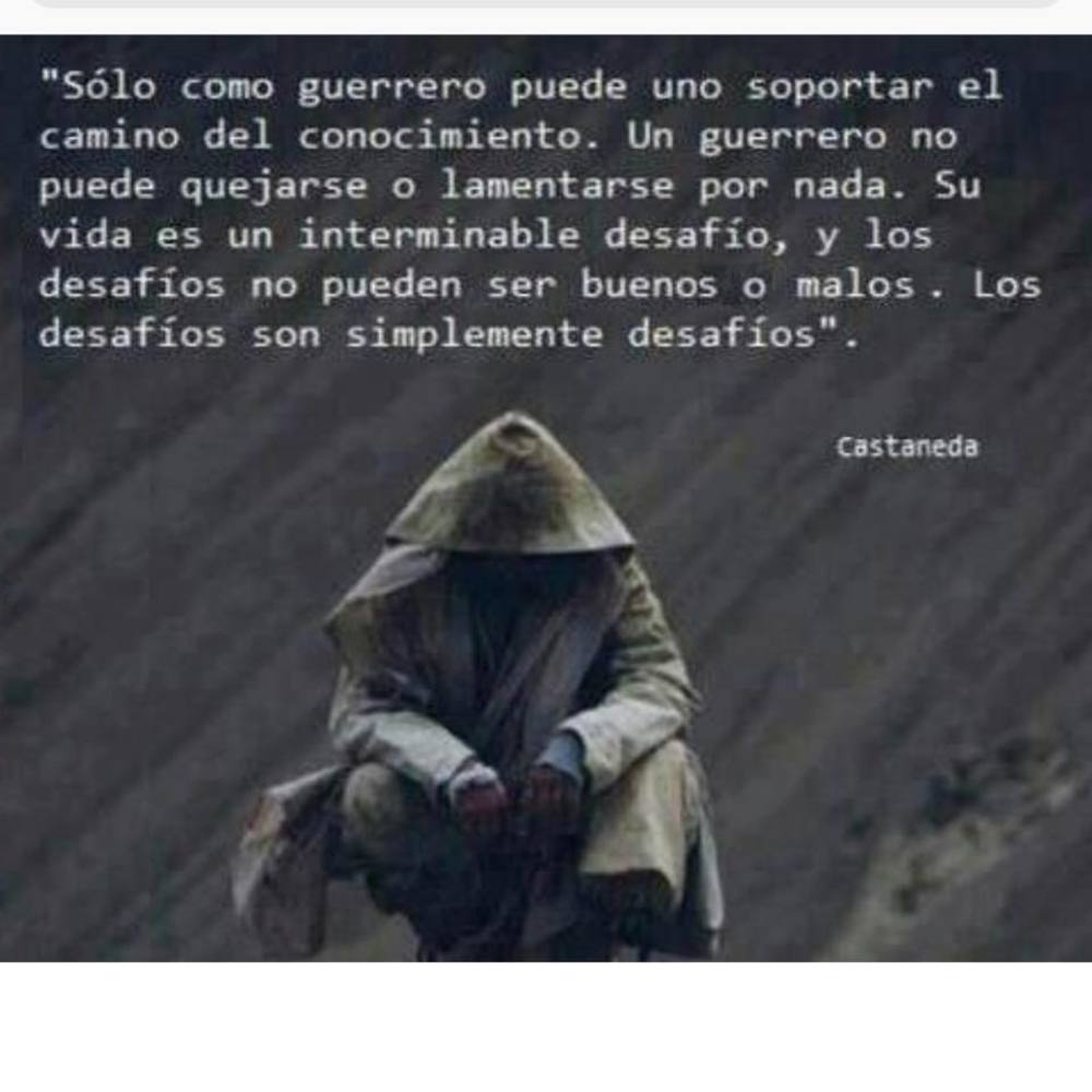 Meet your Posher, Vikktor